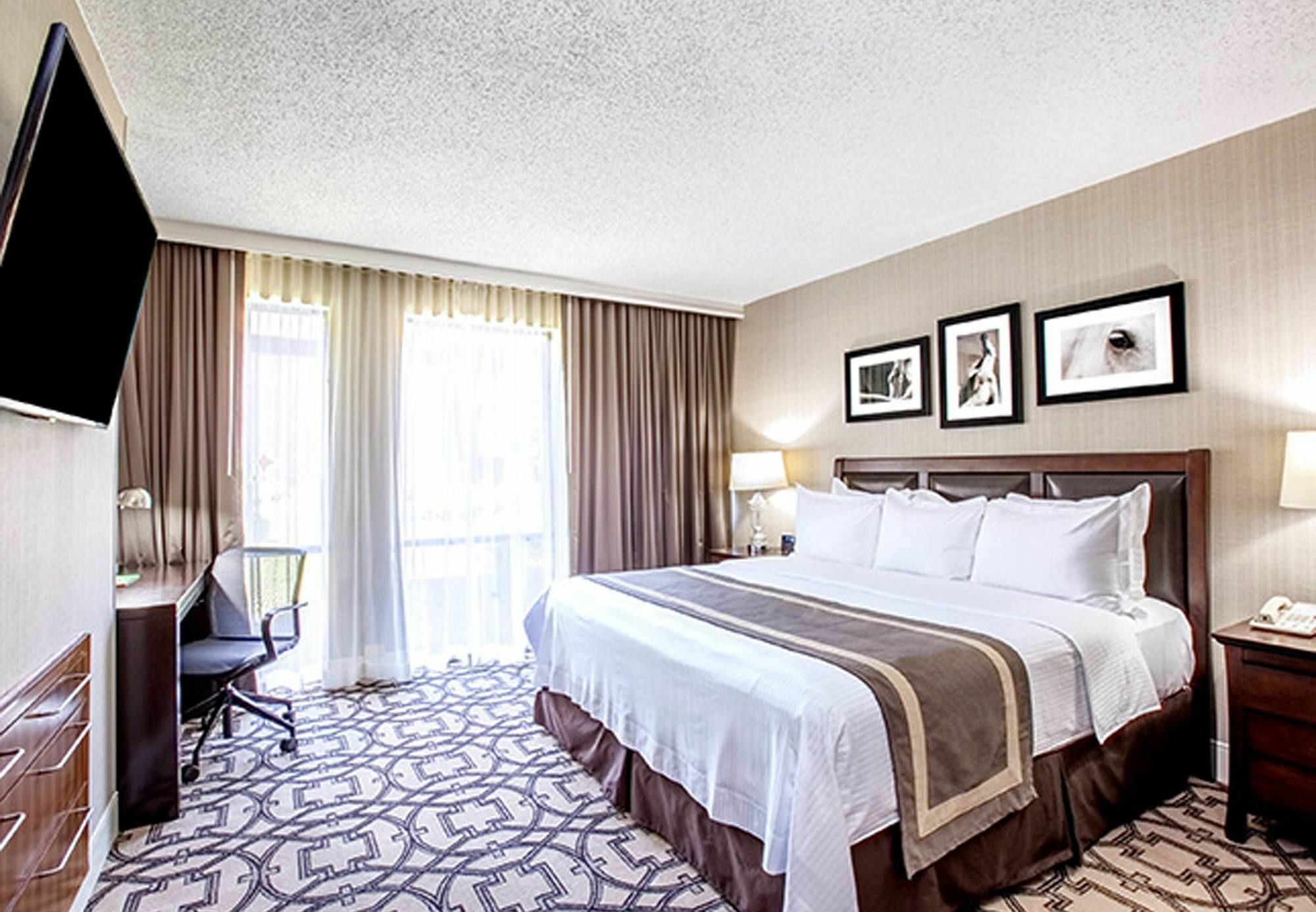 Delta Hotels By Marriott Baltimore Hunt Valley Esterno foto